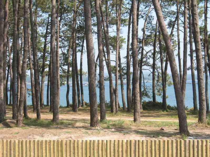 Apartamento Playa 이슬라 데 아로사 외부 사진