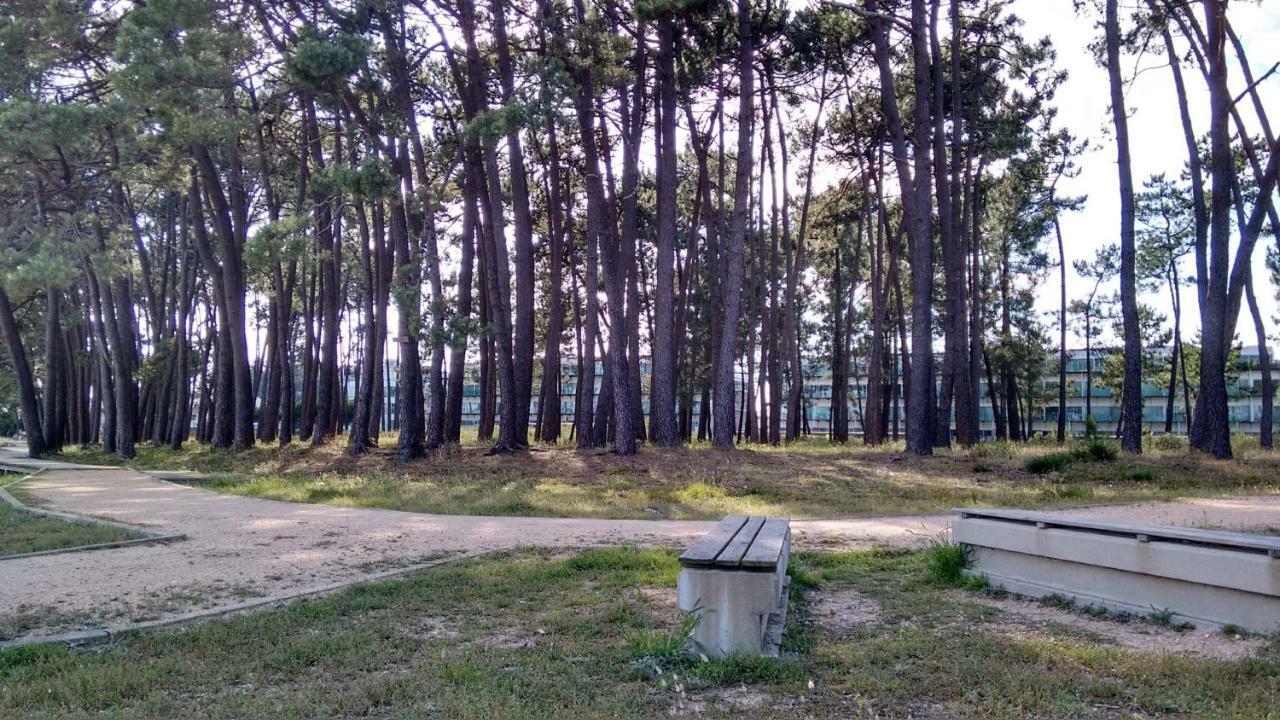 Apartamento Playa 이슬라 데 아로사 외부 사진